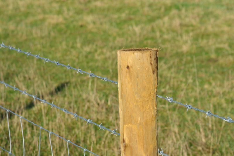 Barbed Wire Fence Replacement