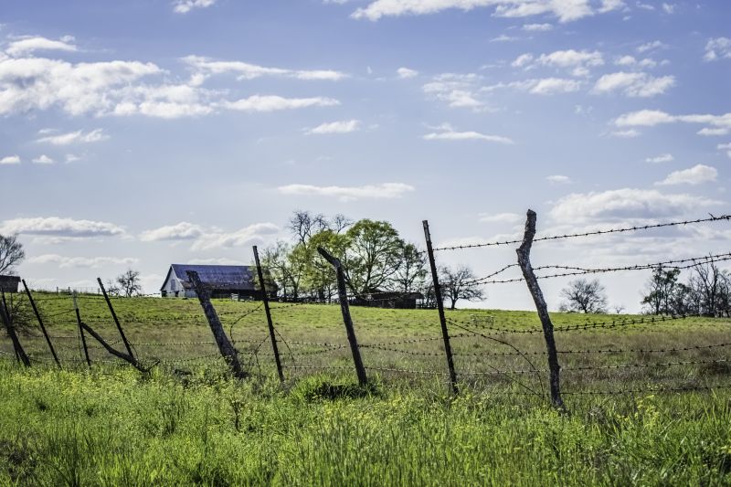 Cattle Fence Repair