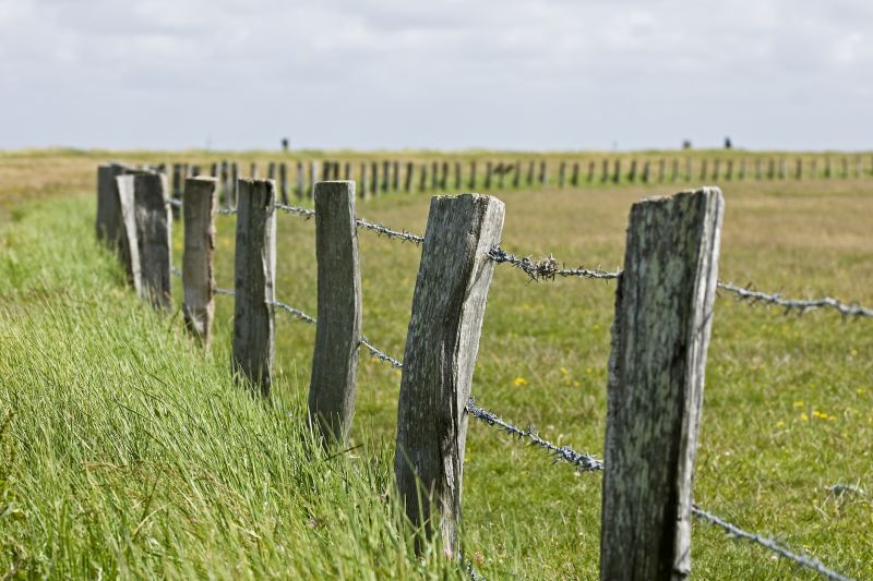 Field Fencing Service detail